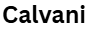 calvani.shop